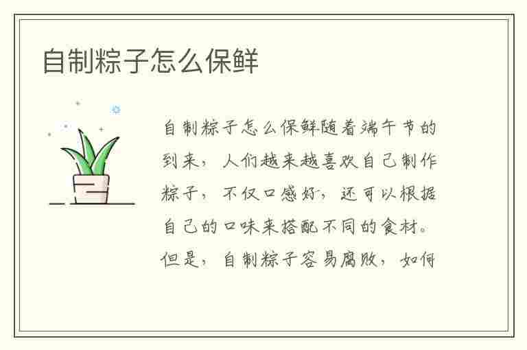 自制粽子怎么保鲜(自制粽子怎么保鲜存放)